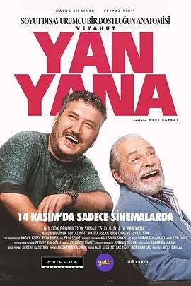 触不可及(土耳其版)