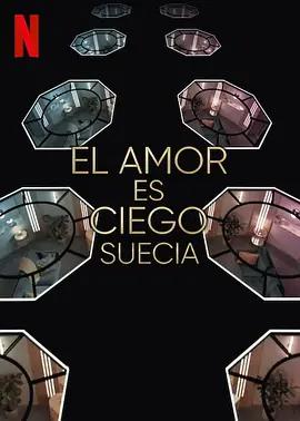 爱情盲选：瑞典篇 第3季