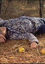 乡野传奇之蓝狐之恋