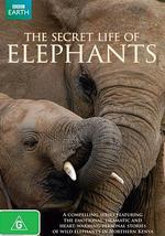 大象的秘密生活