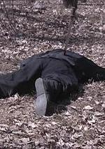 大明嫔妃之逐鹿