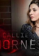 火线救援  第七季