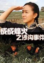 成成烽火之沙沟事件