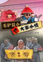 毛驴县令之大事小情