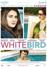 暴风雪中的白鸟