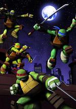 忍者神龟 第四季