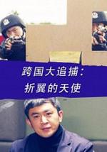 跨国大追捕：折翼的天使