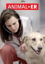 动物急症室 第一季