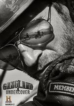 黑帮卧底 第二季