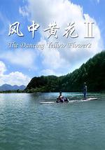 风中黄花2