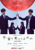 翱翔于天际的夜鹰