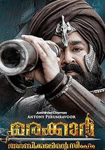 马拉喀尔：阿拉伯海狮