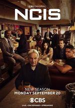 海军罪案调查处 第十九季