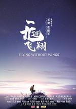 无翅飞翔