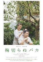 不砍梅树的傻瓜