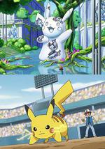 宝可梦特别动画：时之波纹