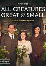 万物生灵 第三季