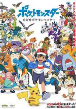 宝可梦：目标是宝可梦大师