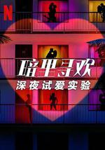 暗里寻欢：深夜试爱实验