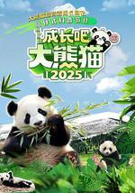 成长吧！大熊猫2025