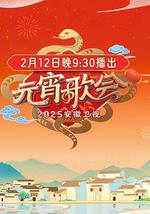 2025安徽卫视元宵晚会