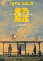 走马观花