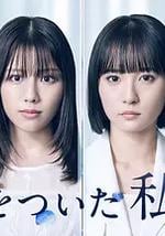 说谎的我们