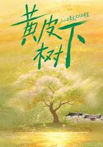 黄皮树下