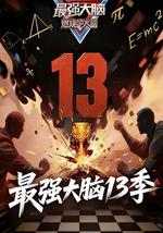 最强大脑 第十三季